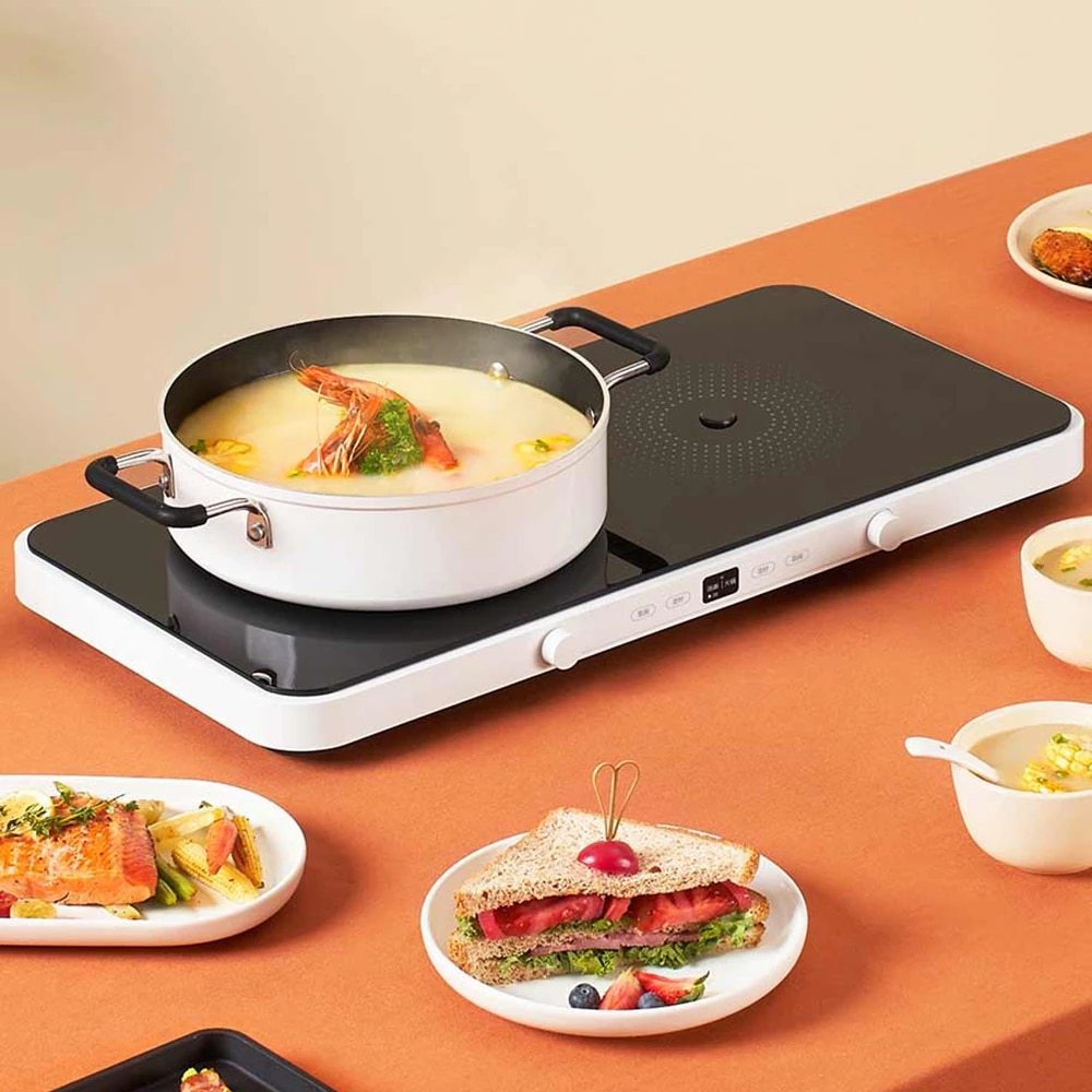 best induction cooker