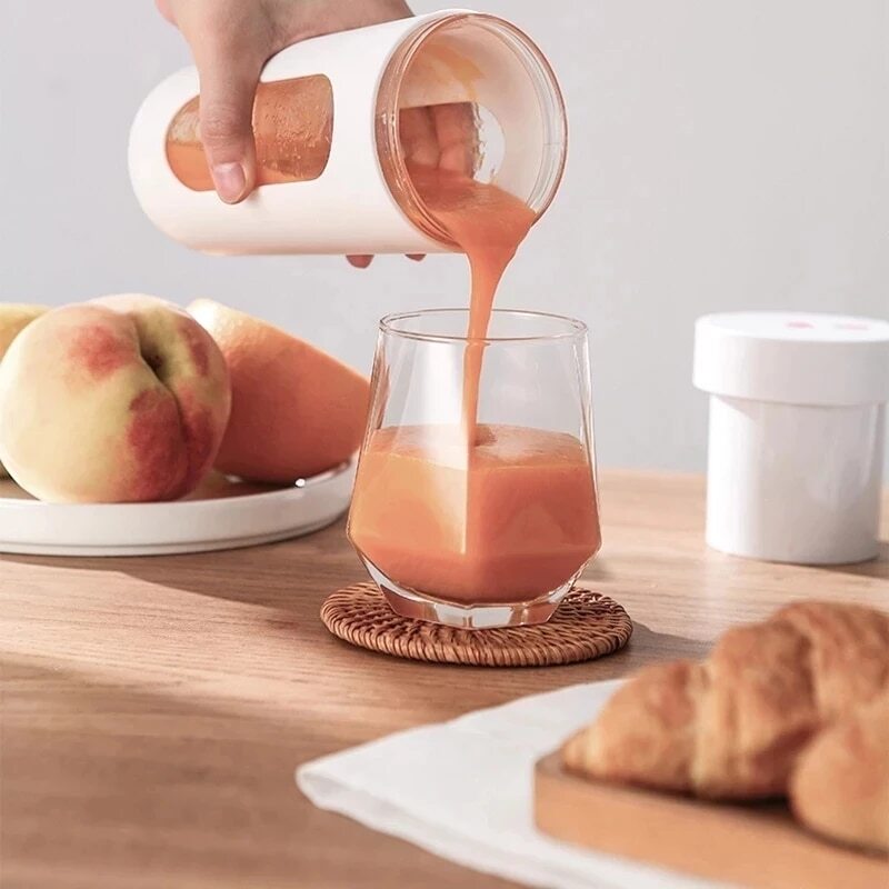 portable juicer blender